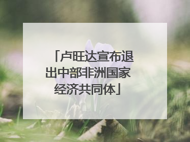 卢旺达宣布退出中部非洲国家经济共同体