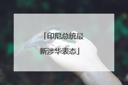 印尼总统最新涉华表态