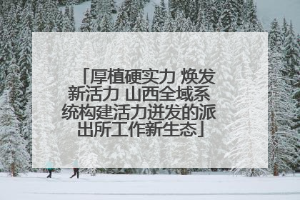 厚植硬实力 焕发新活力 山西全域系统构建活力迸发的派出所工作新生态