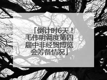 倒计时6天！毛伟明调度第四届中非经贸博览会筹备情况