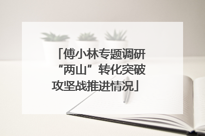 傅小林专题调研“两山”转化突破攻坚战推进情况
