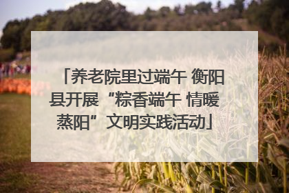 养老院里过端午 衡阳县开展“粽香端午 情暖蒸阳”文明实践活动