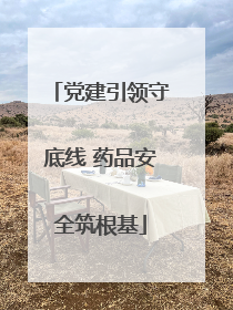 党建引领守底线 药品安全筑根基