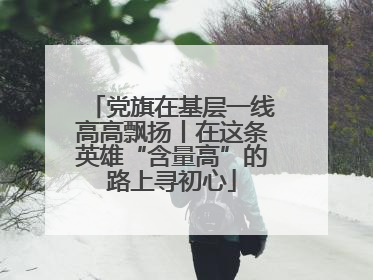 党旗在基层一线高高飘扬丨在这条英雄“含量高”的路上寻初心