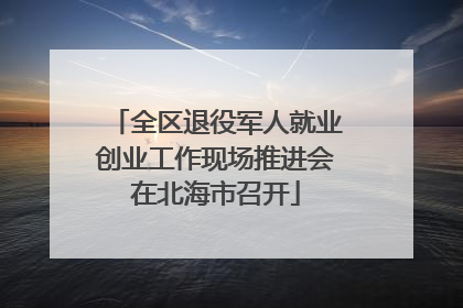全区退役军人就业创业工作现场推进会在北海市召开
