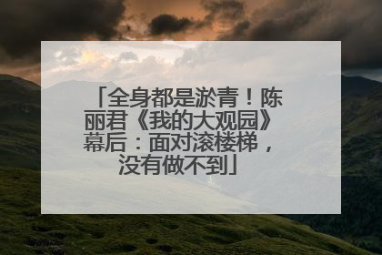 全身都是淤青！陈丽君《我的大观园》幕后：面对滚楼梯，没有做不到
