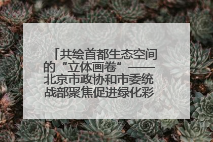 共绘首都生态空间的“立体画卷”——北京市政协和市委统战部聚焦促进绿化彩化美化生态空间建设联合协商议政