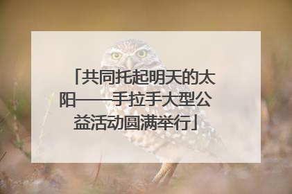 共同托起明天的太阳——手拉手大型公益活动圆满举行