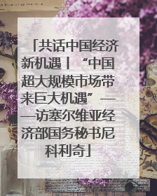 共话中国经济新机遇丨“中国超大规模市场带来巨大机遇”——访塞尔维亚经济部国务秘书尼科利奇
