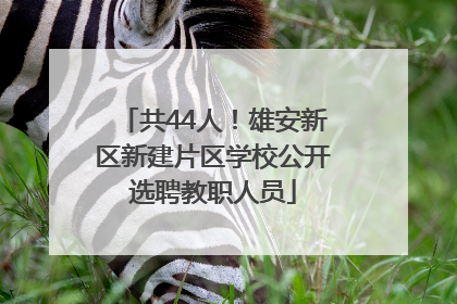 共44人！雄安新区新建片区学校公开选聘教职人员