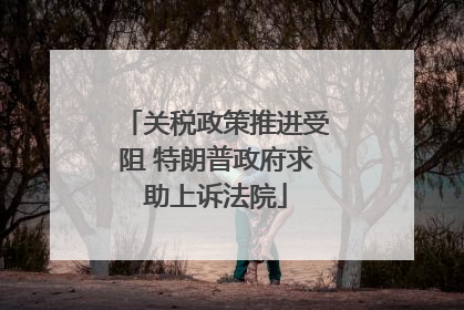关税政策推进受阻 特朗普政府求助上诉法院
