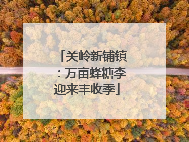 关岭新铺镇：万亩蜂糖李迎来丰收季