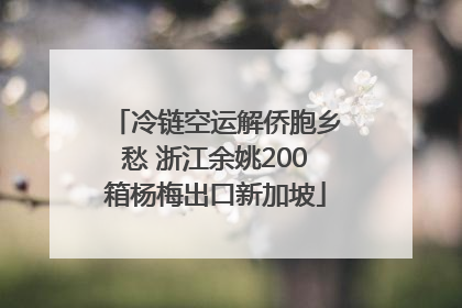 冷链空运解侨胞乡愁 浙江余姚200箱杨梅出口新加坡