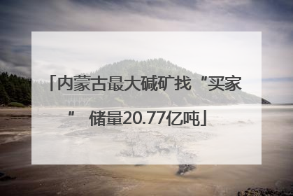 内蒙古最大碱矿找“买家” 储量20.77亿吨
