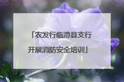 农发行临澧县支行开展消防安全培训