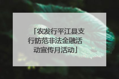 农发行平江县支行防范非法金融活动宣传月活动