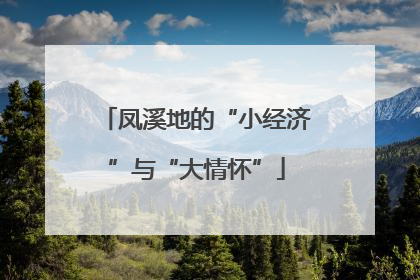 凤溪地的“小经济”与“大情怀”
