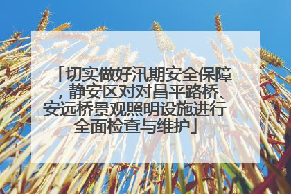 切实做好汛期安全保障，静安区对对昌平路桥、安远桥景观照明设施进行全面检查与维护