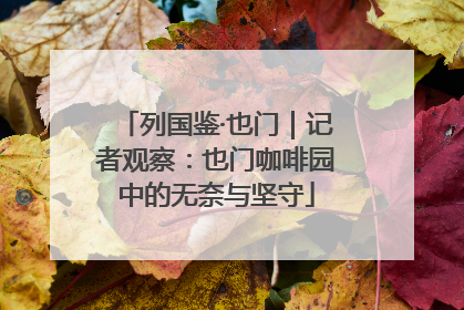 列国鉴·也门｜记者观察：也门咖啡园中的无奈与坚守