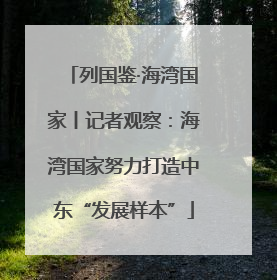 列国鉴·海湾国家丨记者观察：海湾国家努力打造中东“发展样本”