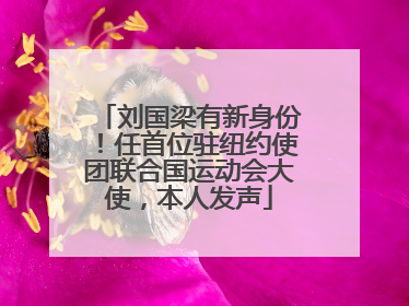 刘国梁有新身份！任首位驻纽约使团联合国运动会大使，本人发声