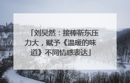 刘昊然：接棒靳东压力大，赋予《温暖的味道》不同情感表达
