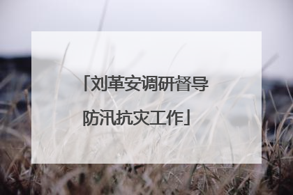 刘革安调研督导防汛抗灾工作