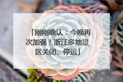 刚刚确认：今晚再次加强！浙江多地景区关闭、停运