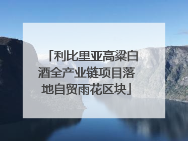 利比里亚高粱白酒全产业链项目落地自贸雨花区块