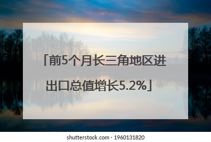 前5个月长三角地区进出口总值增长5.2%