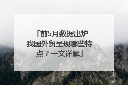 前5月数据出炉 我国外贸呈现哪些特点？一文详解