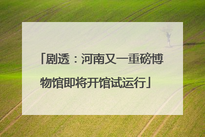 剧透：河南又一重磅博物馆即将开馆试运行