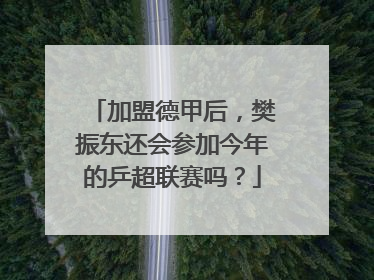 加盟德甲后，樊振东还会参加今年的乒超联赛吗？