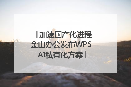 加速国产化进程 金山办公发布WPS AI私有化方案