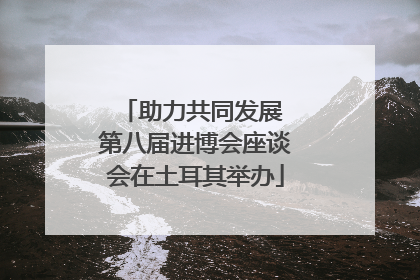 助力共同发展 第八届进博会座谈会在土耳其举办