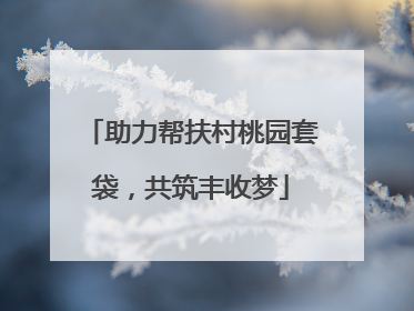 助力帮扶村桃园套袋，共筑丰收梦