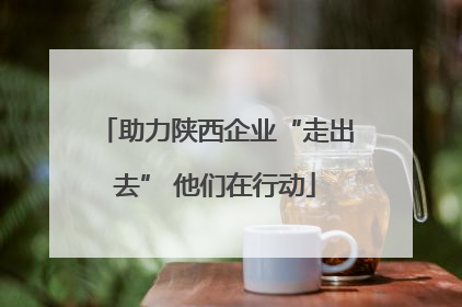 助力陕西企业“走出去” 他们在行动