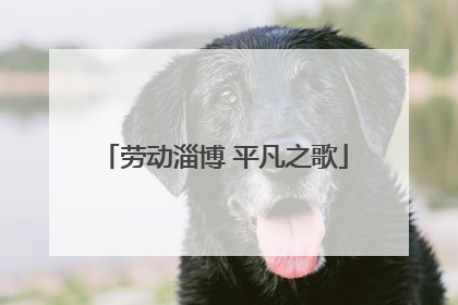 劳动淄博 平凡之歌