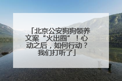 北京公安狗狗领养文案“火出圈”！心动之后，如何行动？我们打听了