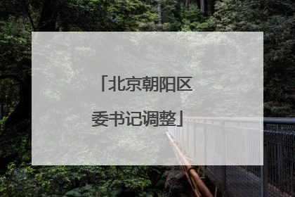北京朝阳区委书记调整