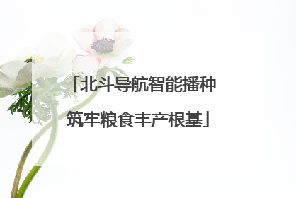 北斗导航智能播种 筑牢粮食丰产根基