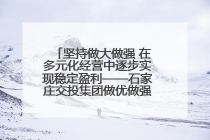 坚持做大做强 在多元化经营中逐步实现稳定盈利——石家庄交投集团做优做强典型报道之三