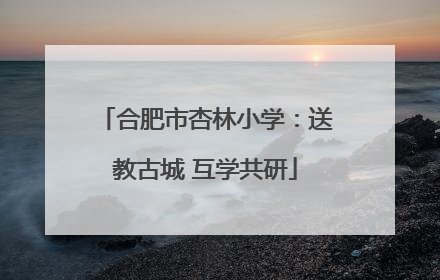 合肥市杏林小学：送教古城 互学共研