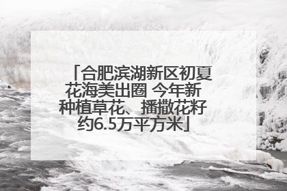 合肥滨湖新区初夏花海美出圈 今年新种植草花、播撒花籽约6.5万平方米