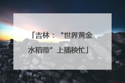 吉林：“世界黄金水稻带”上插秧忙