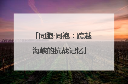 同胞·同袍：跨越海峡的抗战记忆