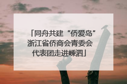 同舟共建“侨爱岛” 浙江省侨商会青委会代表团走进嵊泗