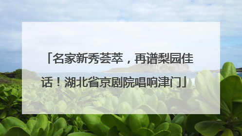 名家新秀荟萃，再谱梨园佳话！湖北省京剧院唱响津门