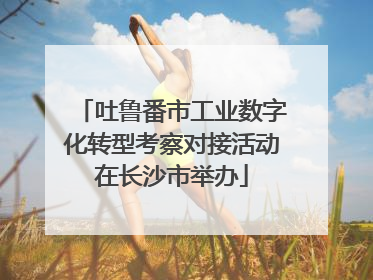 吐鲁番市工业数字化转型考察对接活动在长沙市举办