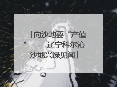 向沙地要“产值”——辽宁科尔沁沙地兴绿见闻
